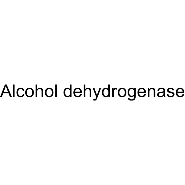 Alcohol dehydrogenase (EC 1.1.1.1) 9031-72-5